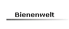 Bienenwelt